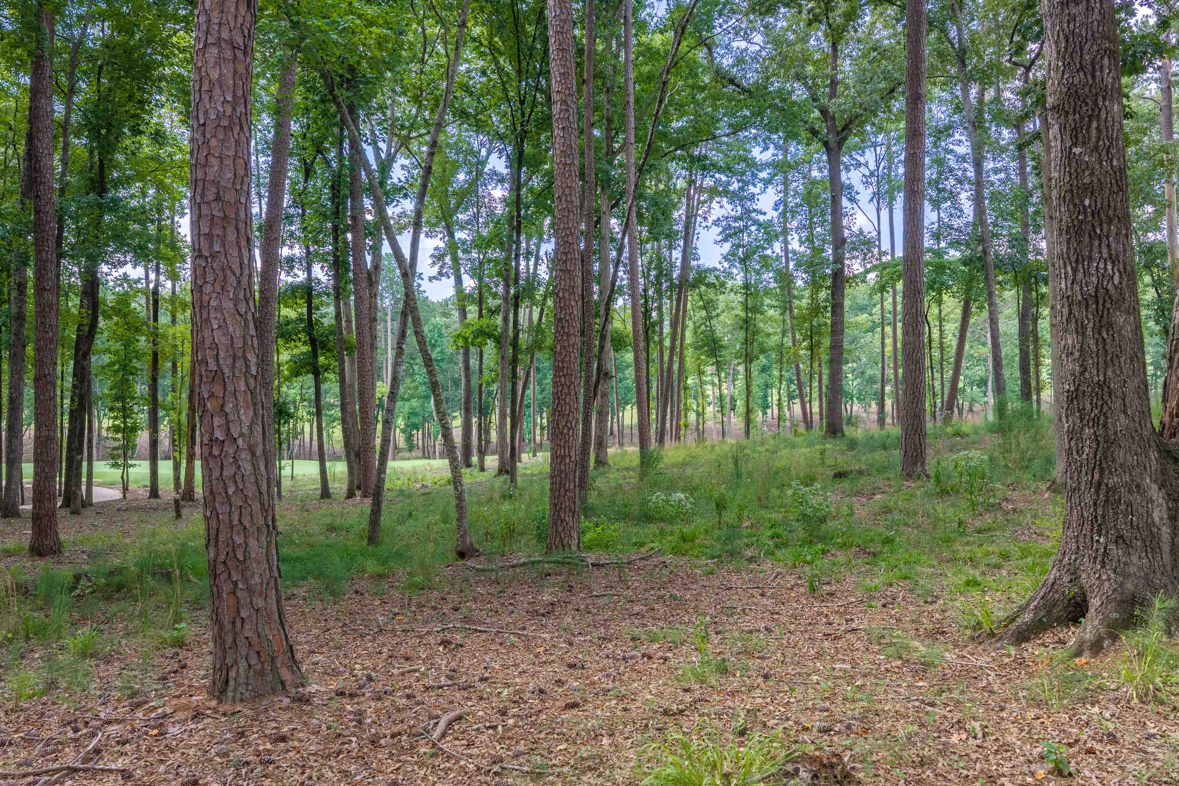 1131 Grove Ridge View image 9